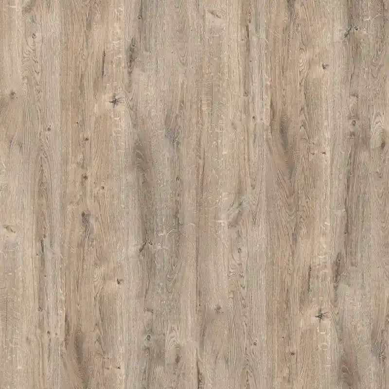 Cielo 66W Queen Murphy Bed for Multipurpose Room by Bestar