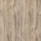 Cielo 66W Queen Murphy Bed for Multipurpose Room by Bestar