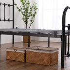 Single-Layer Iron Bed Frame with Shell Decoration Black